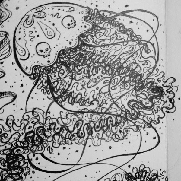 Jellyfish Sketch