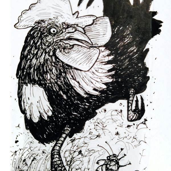 Rooster Sketch